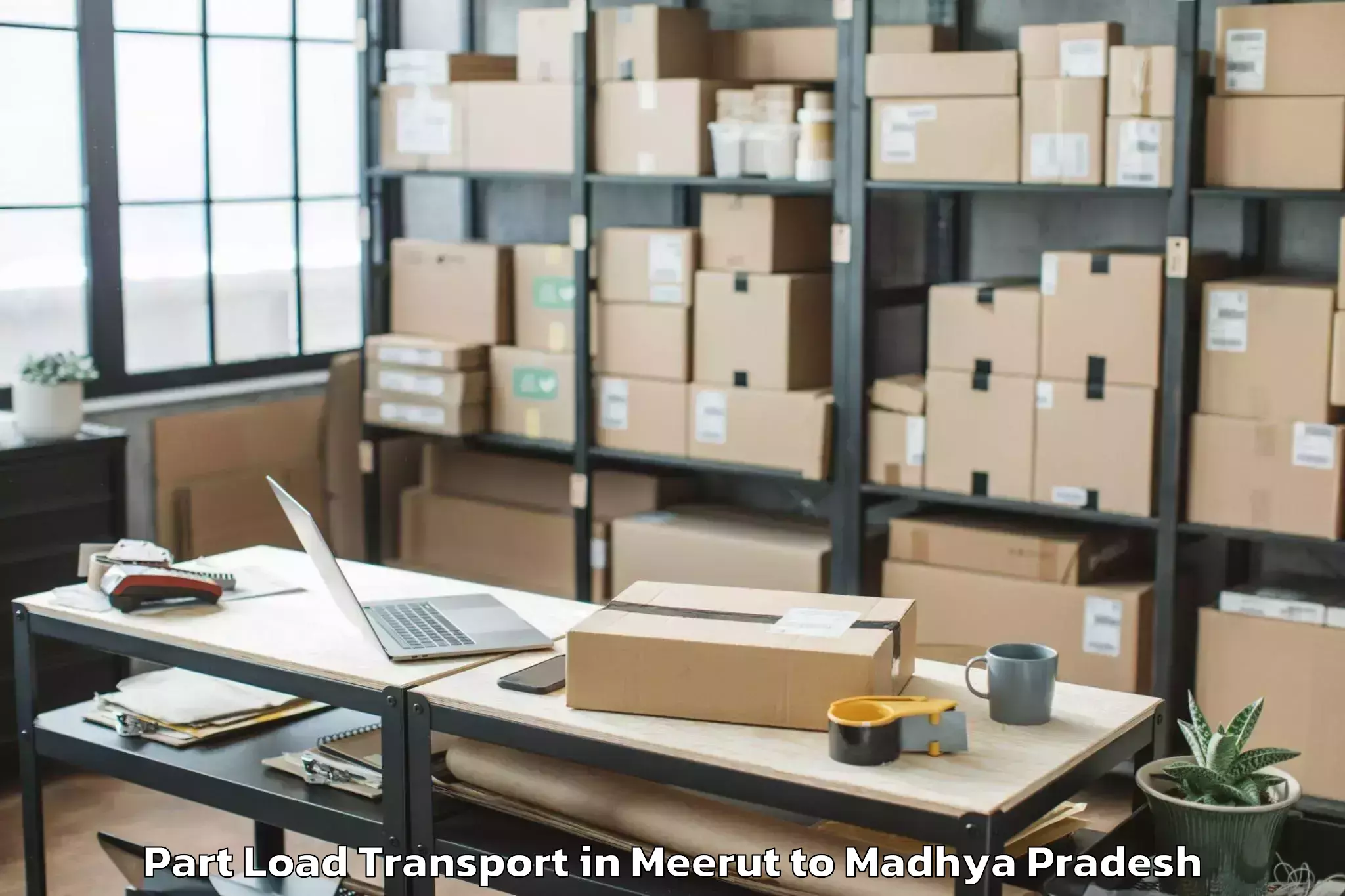 Expert Meerut to Pichhore Part Load Transport